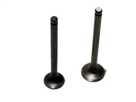 [KÍNAI ROBOGÓ / 4 ÜTEMŰ] - SZELEP GRT. /69.00MM/